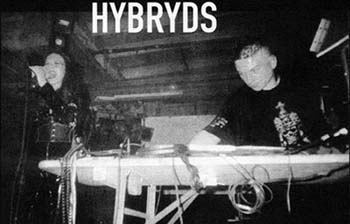 Hybryds3.jpg (19097 bytes)